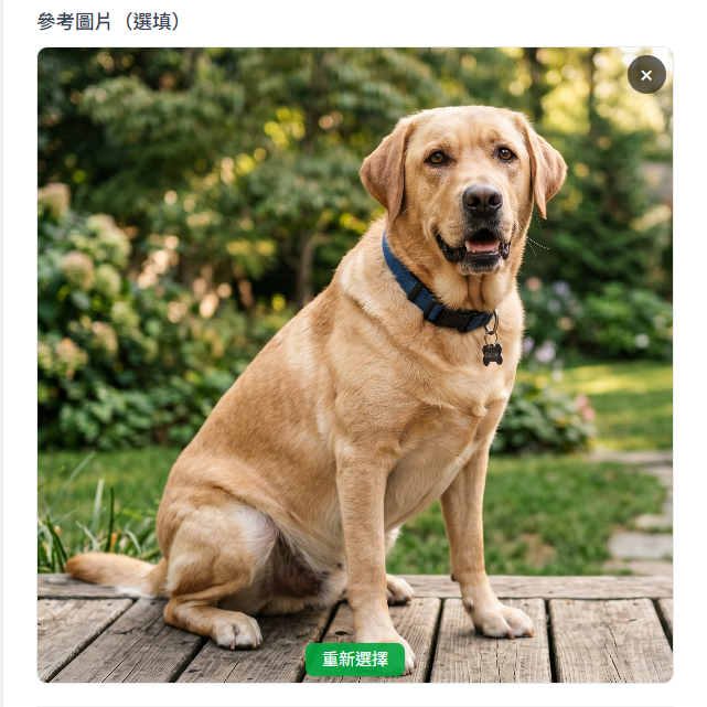 上傳圖片